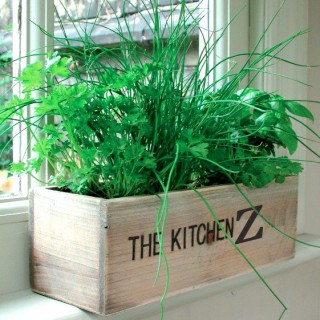 KitchenZ